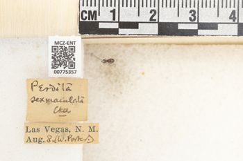 Media type: image;   Entomology 775357 Aspect: Labels